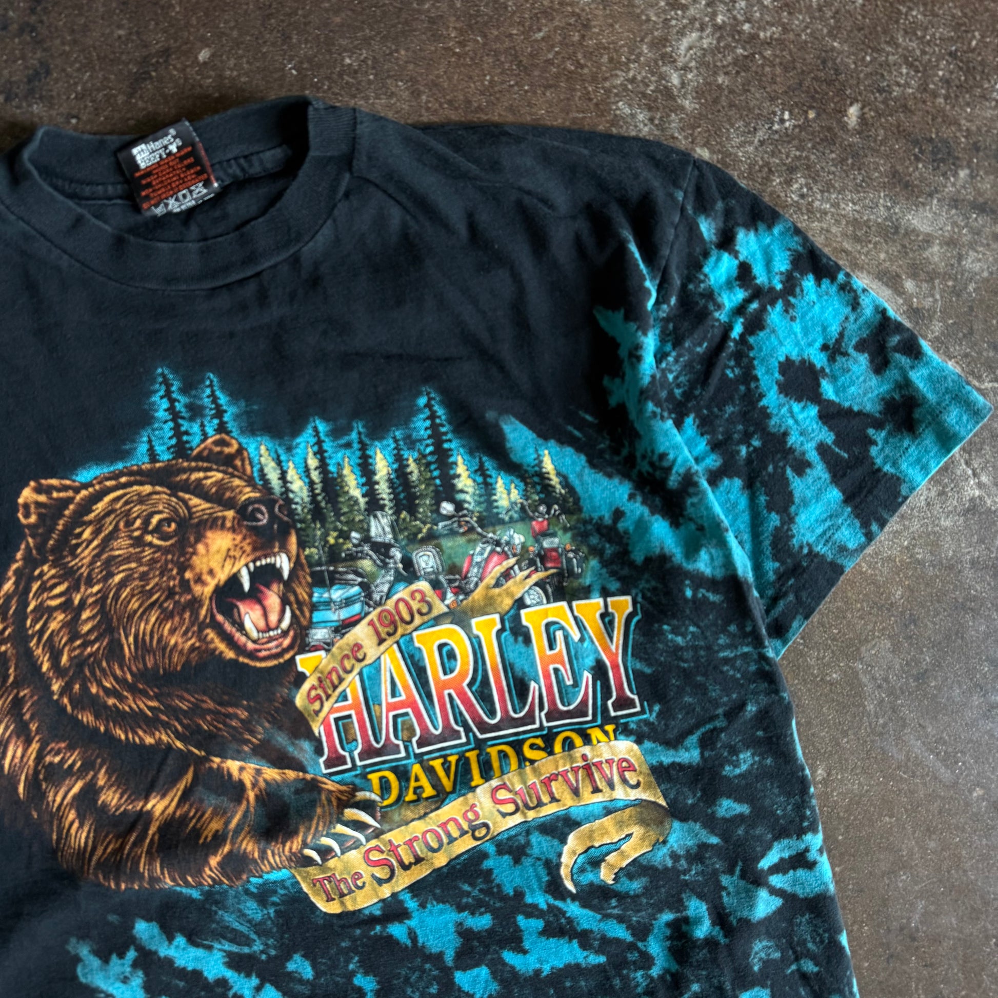 90’s Harley Davidson Strong Survive Bear Tee (L)