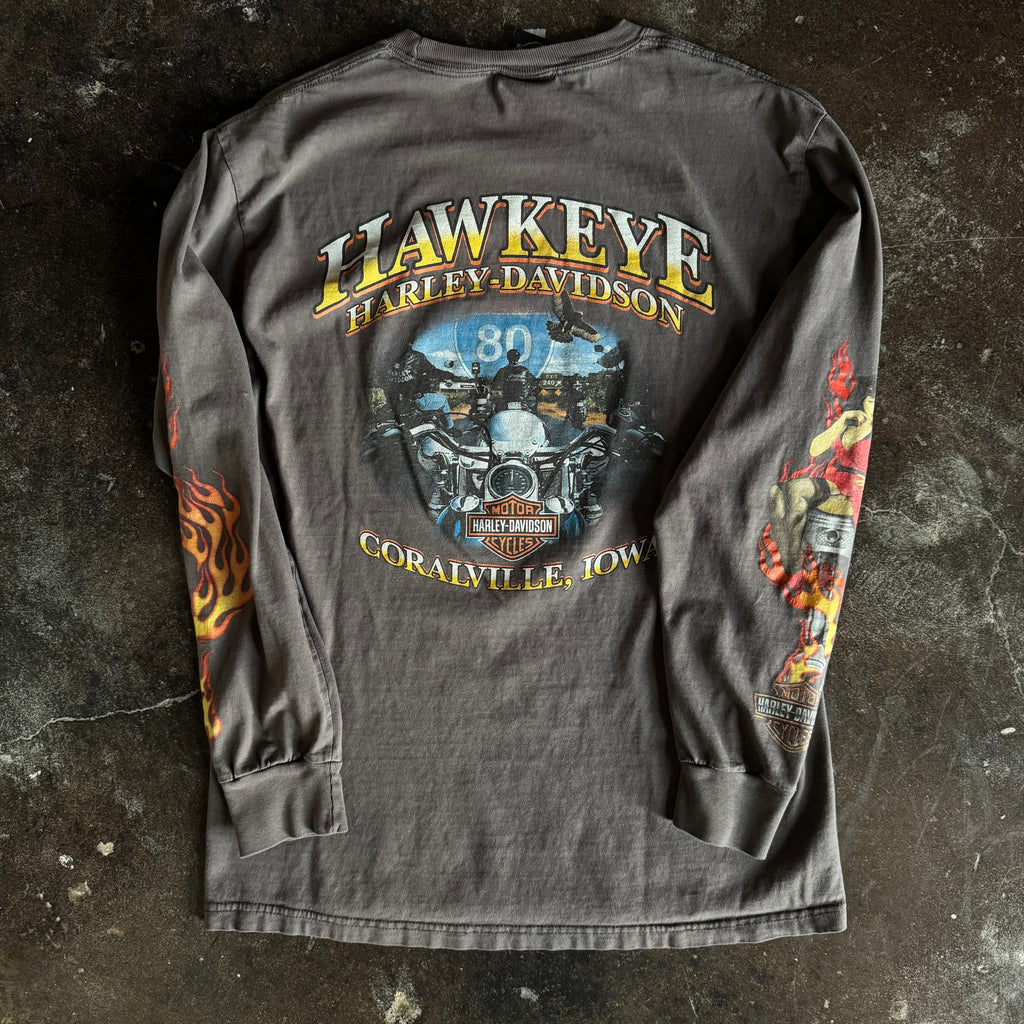 Y2K Harley One Hot Ride Flame Emblem Longsleeve Tee (L)