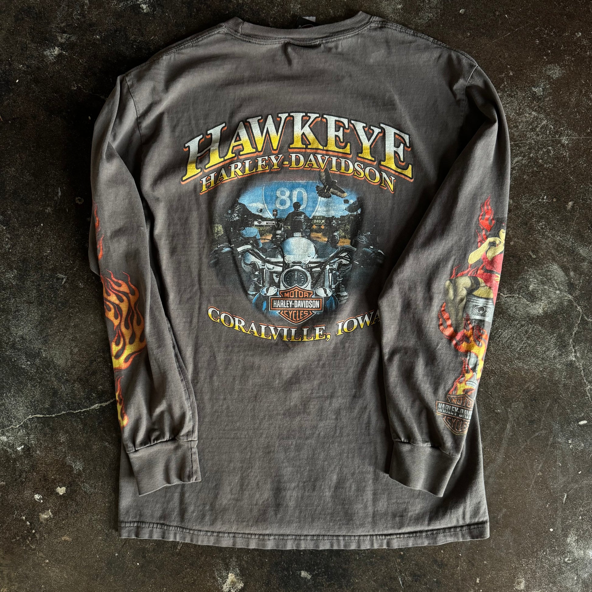 Y2K Harley One Hot Ride Flame Emblem Longsleeve Tee (L)