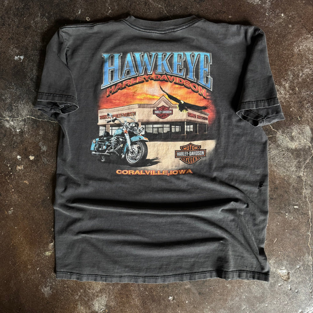 Y2K Harley Tribal Flames Sun Faded Tee (XL)
