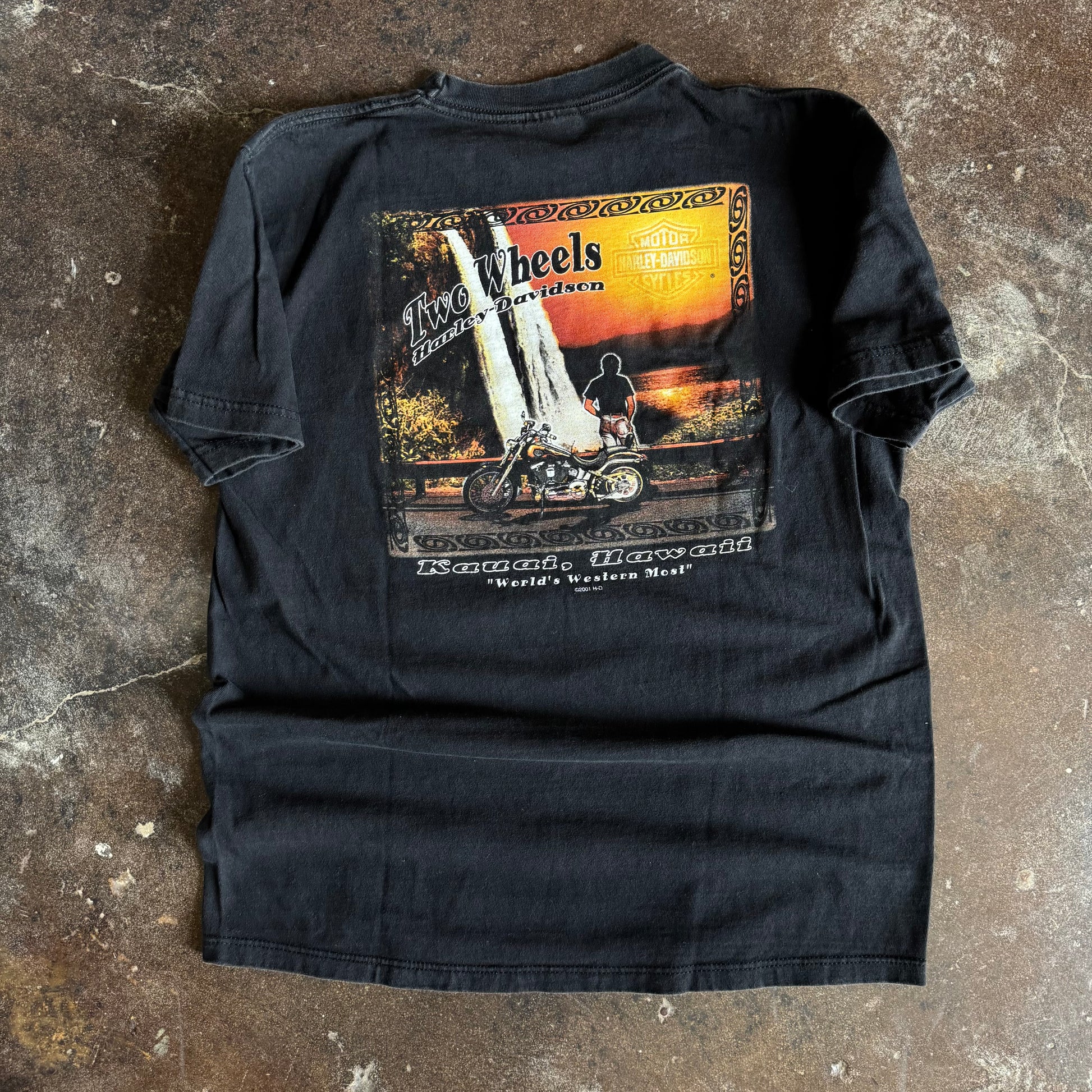 Y2K Harley Lightning Eagle Hawaii Tee (L)