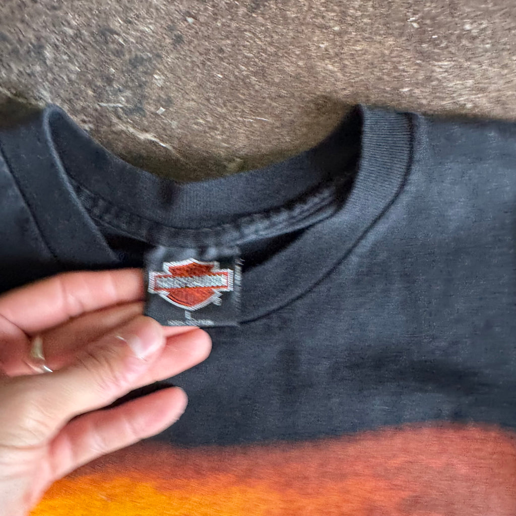 90’s Harley Davidson No Fear Eagle Tee (L)