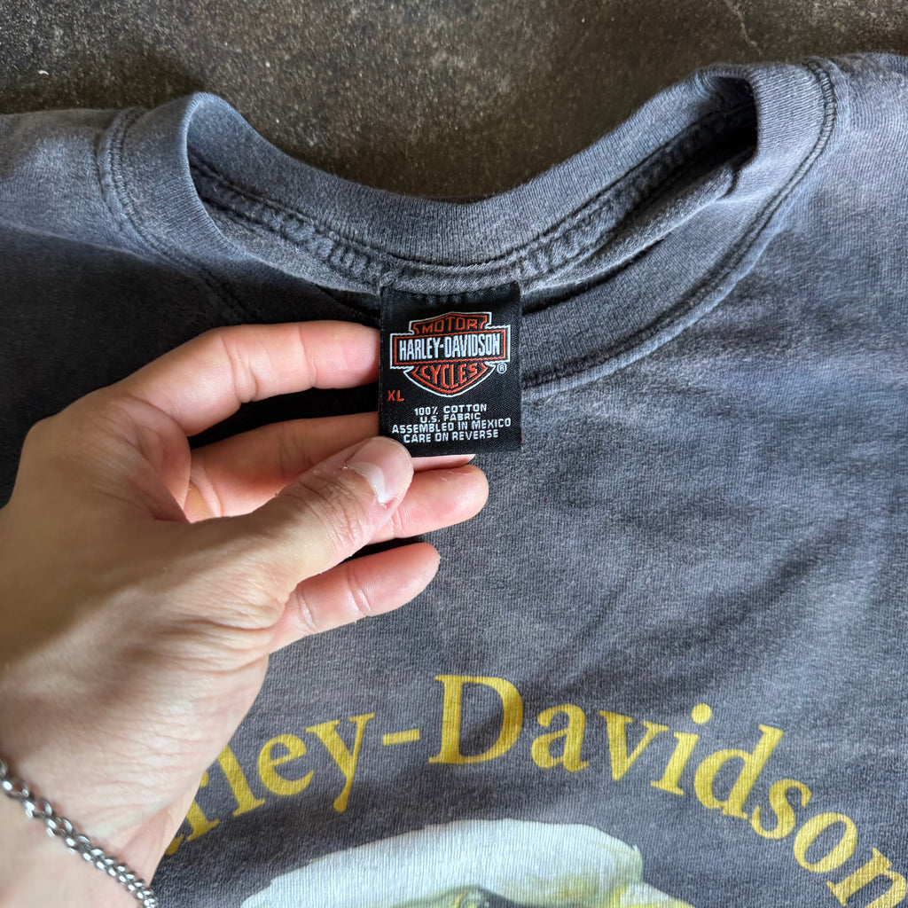Y2K Harley Davidson Eagle Sunfaded Tee (XL)