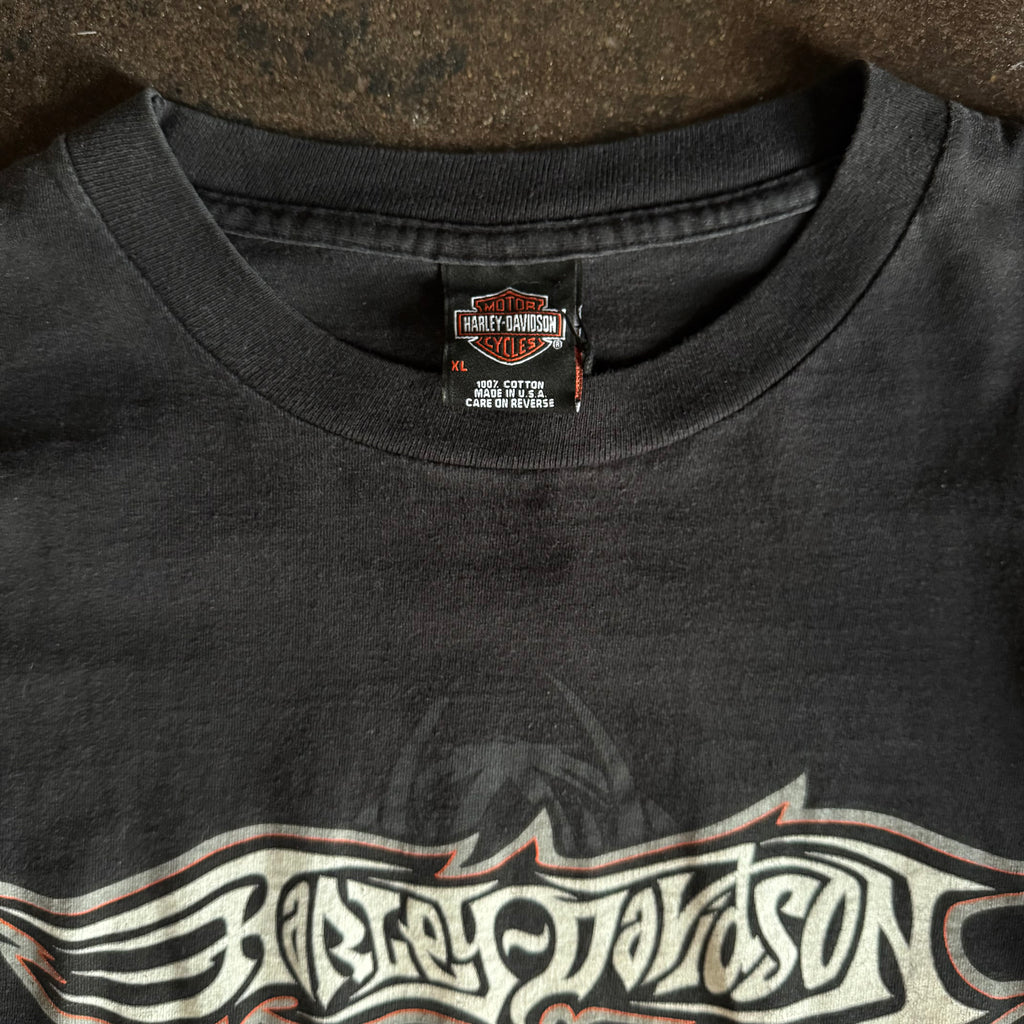 Y2K Harley Spiderweb Longsleeve Tee (XL)