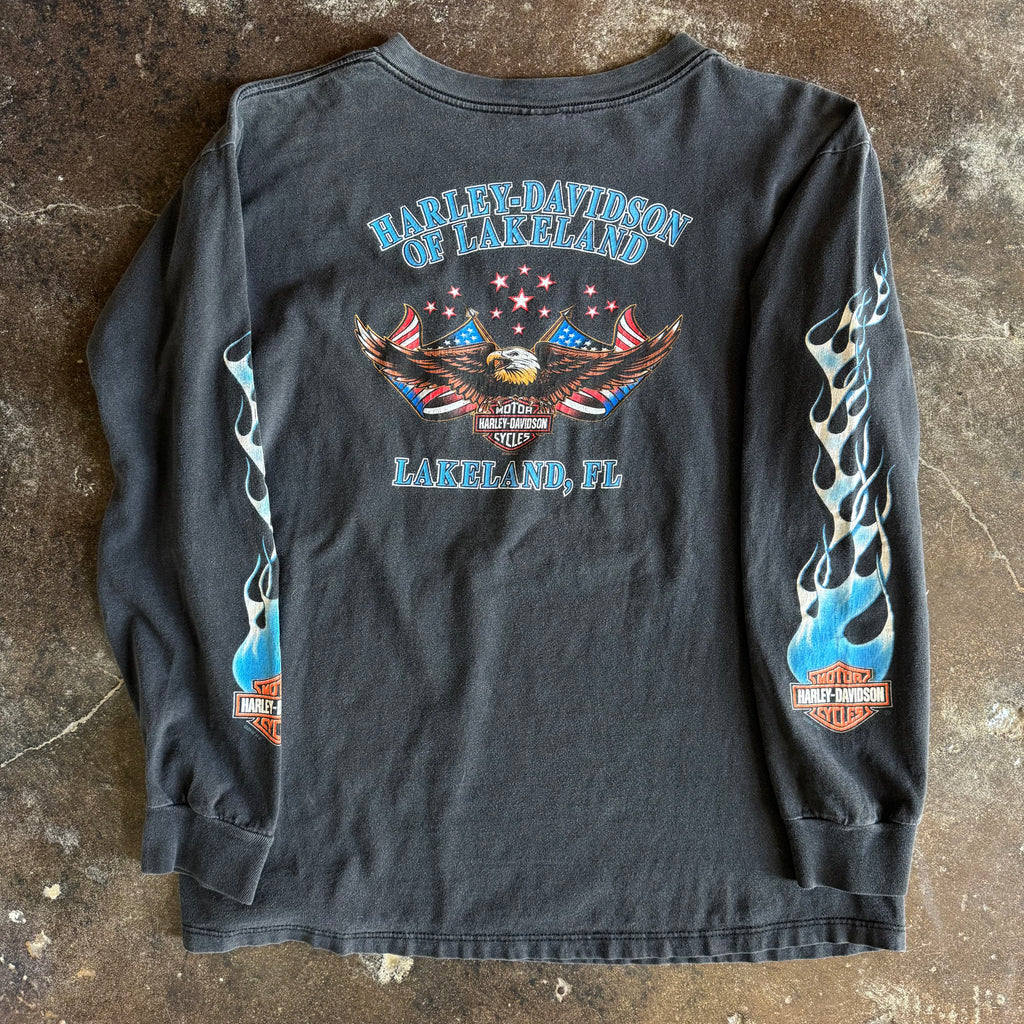 Y2K Harley Blue Eagle Flame Longsleeve (XL)